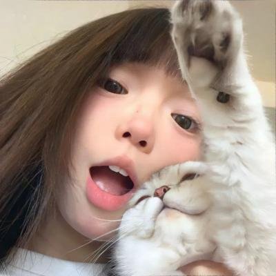 猫和老鼠:间谍使命